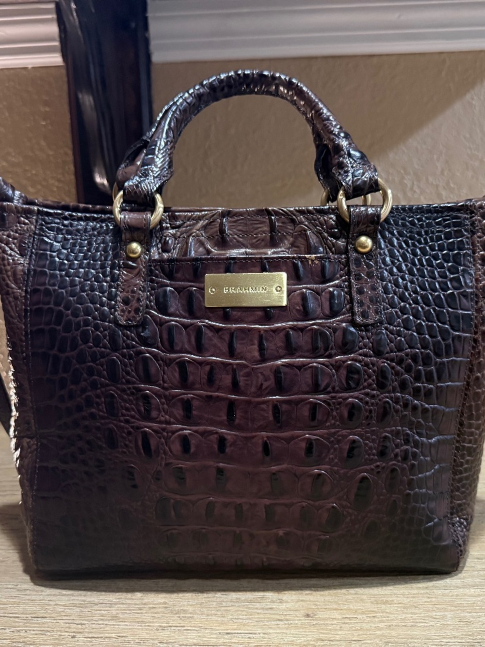 BRAHMIN Mini Arno Tote in Deep Brown